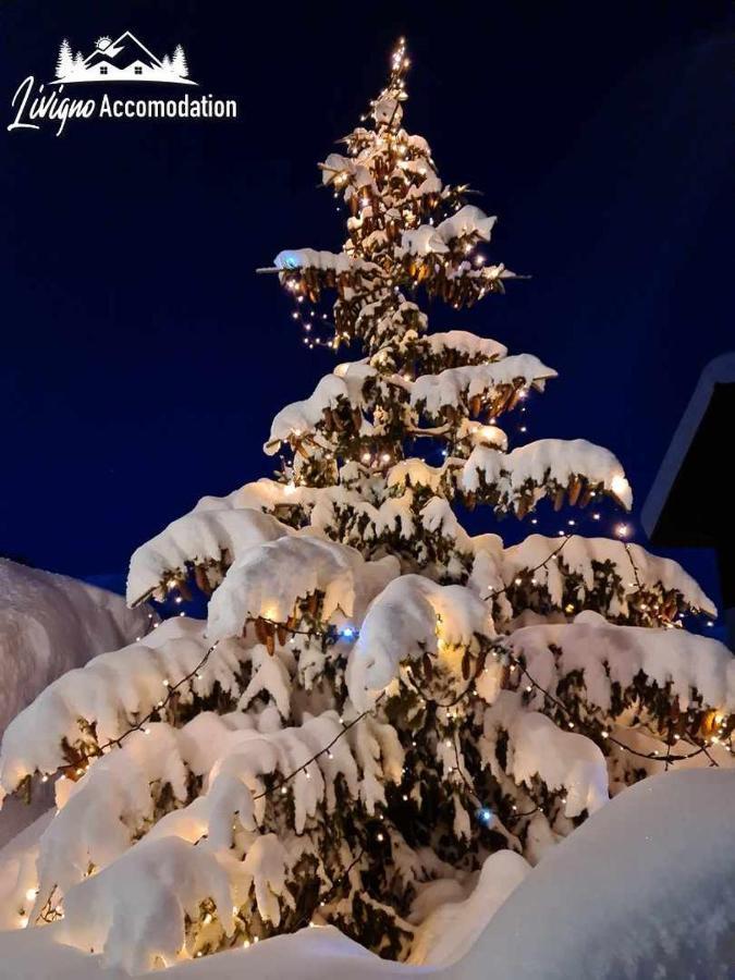 Alpen Royal By Livigno Accomodation Luaran gambar